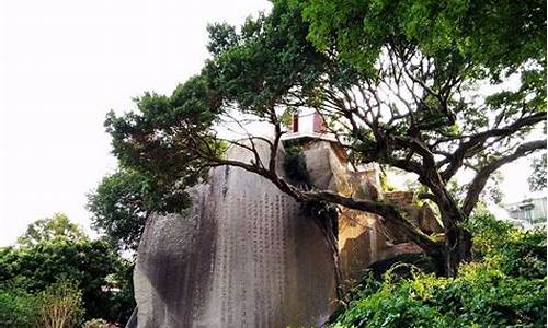 春节厦门住宿攻略_厦门住宿攻略推荐