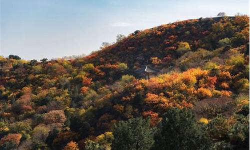 喇叭沟门原始森林公园_喇叭沟门原始森林公