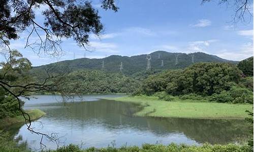 天竺山森林公园门票_天竺山森林公园门票多