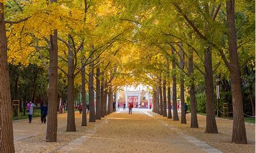 北京地坛公园附近住宿_北京地坛公园附近住