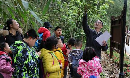 生态旅游景点研学_生态旅游景点研学心得体