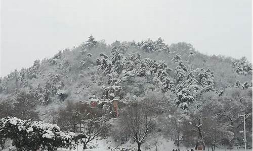 四季曙光公园雪景_四季曙光公园 概况