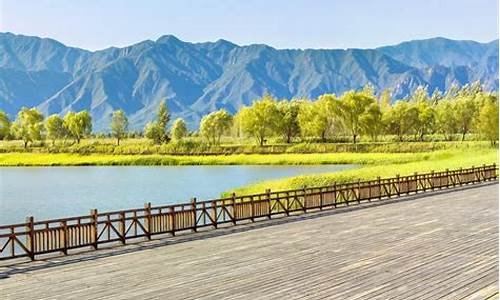 北京野鸭湖湿地公园苍鹭_北京野鸭湖湿地公