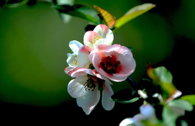 宿迁景点介绍门票价格_宿迁景点介绍门票价格表