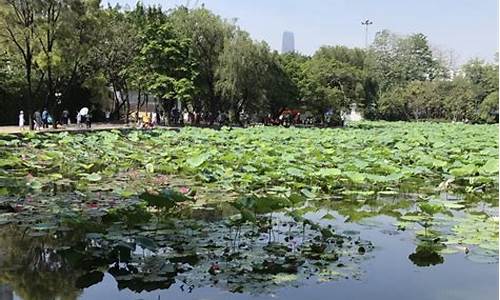 深圳洪湖公园在哪里_深圳洪湖公园在哪里预约门票