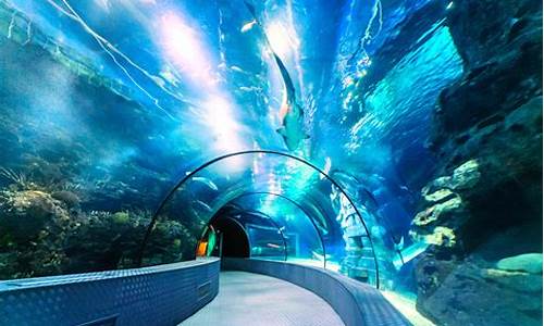 长风公园海洋世界水族馆_长风公园海洋世界水族馆门票