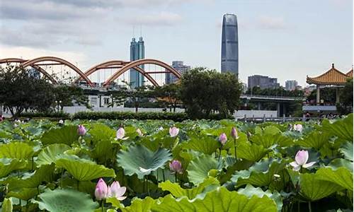 洪湖公园公交站_洪湖公园公交站是哪个门