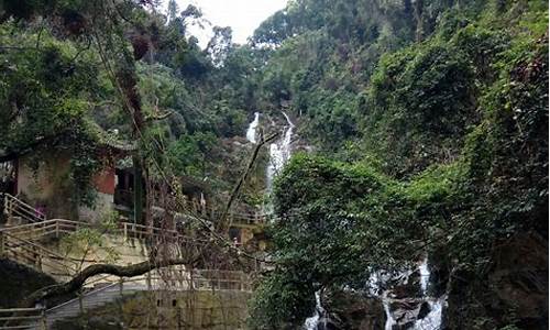 鼎湖山旅游攻略报告怎么写_鼎湖山旅游方案