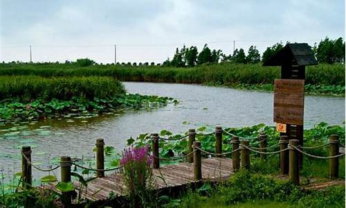 上海崇明岛湿地公园门票_上海崇明岛湿地公园门票多少钱