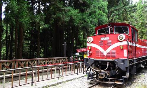 阿里山旅游攻略小火车路线怎么走_阿里山旅游攻略小火车路线怎么