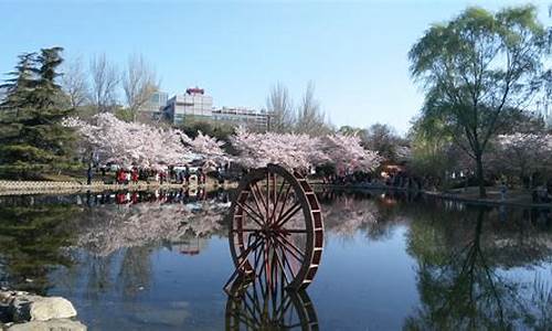 玉渊潭公园门票价格从石景山区座什么车_玉渊潭公园门票价格