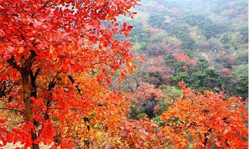 香山几月份去好玩_北京香山几月份去最好