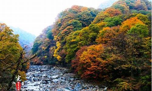 巴中光雾山旅游攻略_巴中光雾山旅游攻略一日游