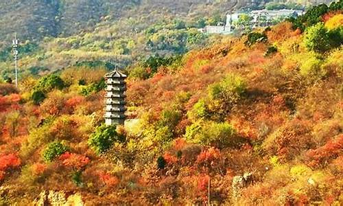 北京西山森林公园景点介绍概况_北京西山森林公园景点简介