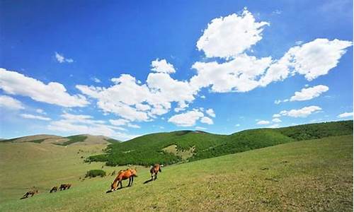 丰宁坝上草原旅游攻略去坝上草原怎么玩_丰宁坝上草原旅游攻略,去坝上草原怎么玩