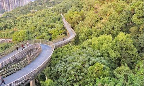 福州金牛山公园景点_福州金牛山公园景点介绍