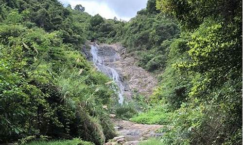 坪山马峦山郊野公园攻略