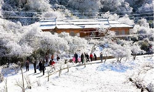 冬季重庆旅游攻略_冬季重庆旅游攻略景点必去