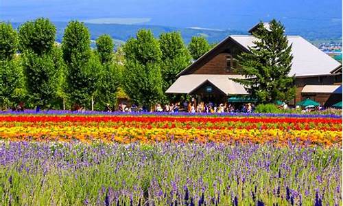 北海道春节旅游攻略_北海道春节旅游攻略图